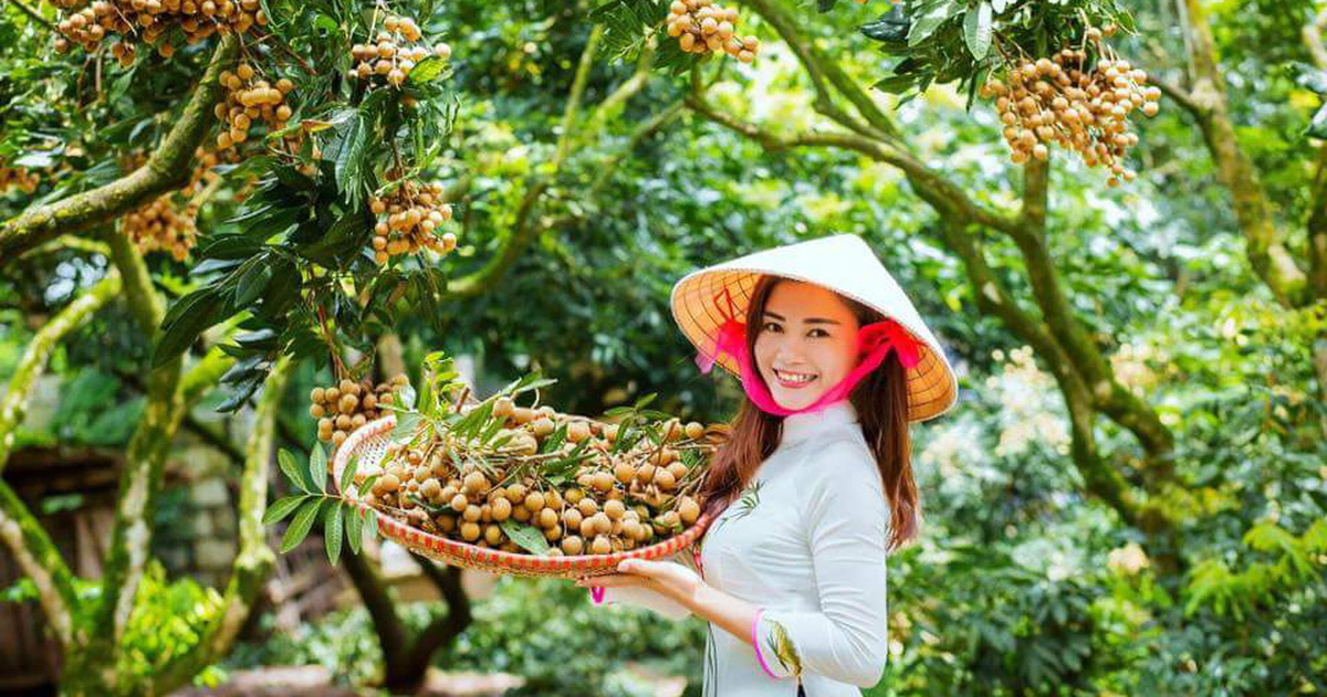 tuoitre.vn