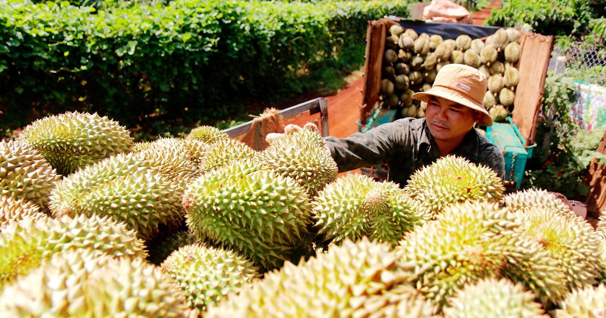 tuoitre.vn