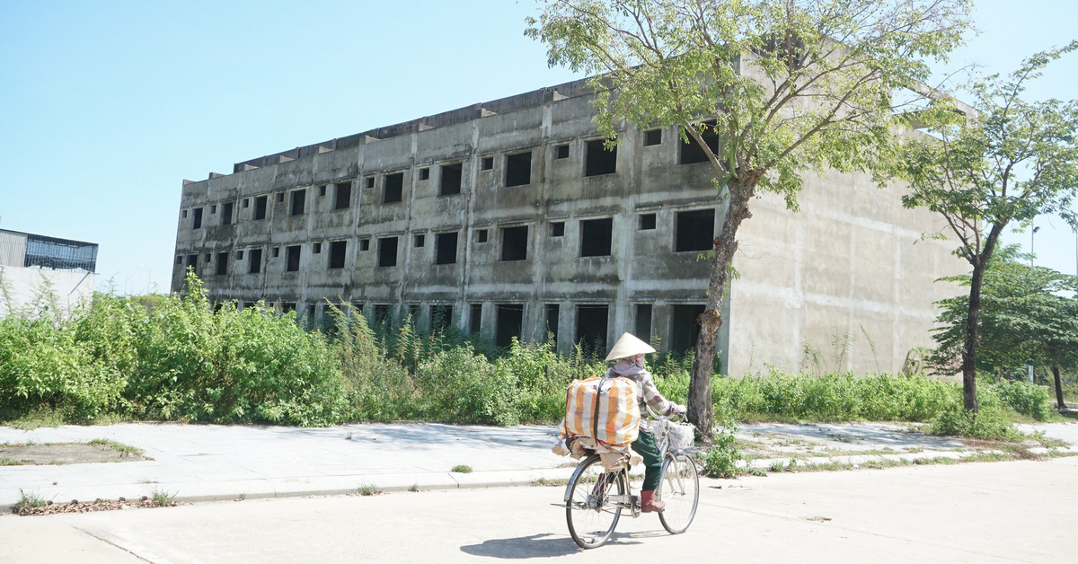 tuoitre.vn