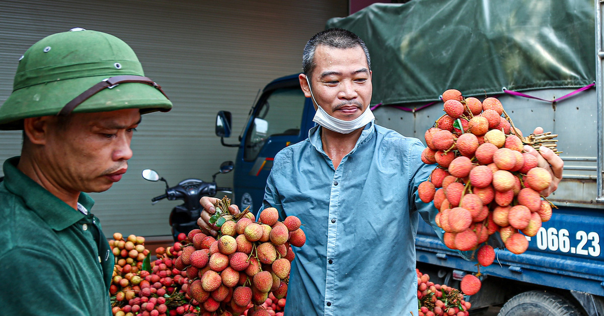 tuoitre.vn