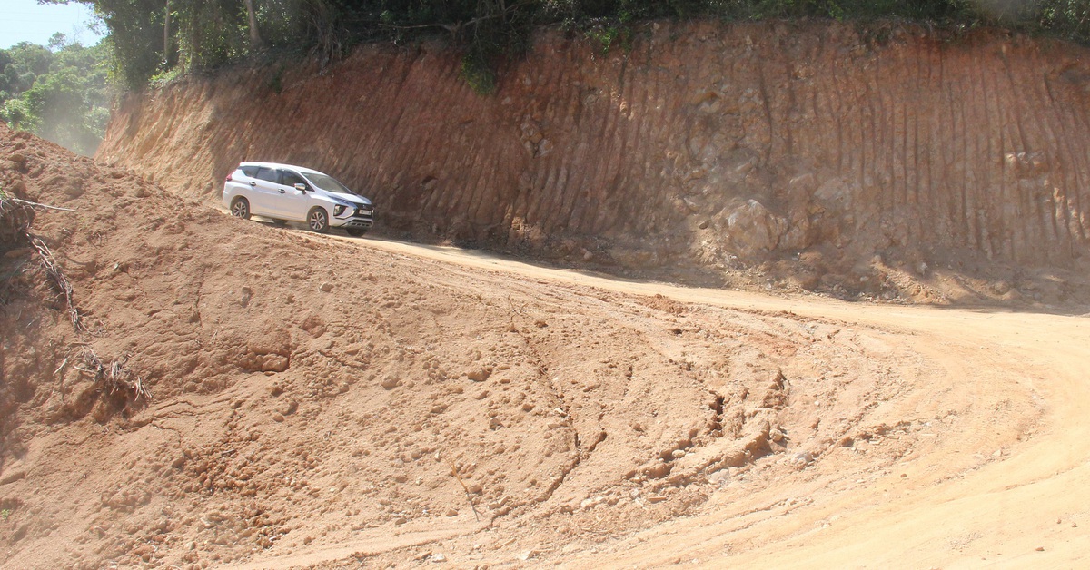 Tập đoàn Đèo Cả: Rừng mở đường công vụ là rừng sản xuất - Tuổi Trẻ Online