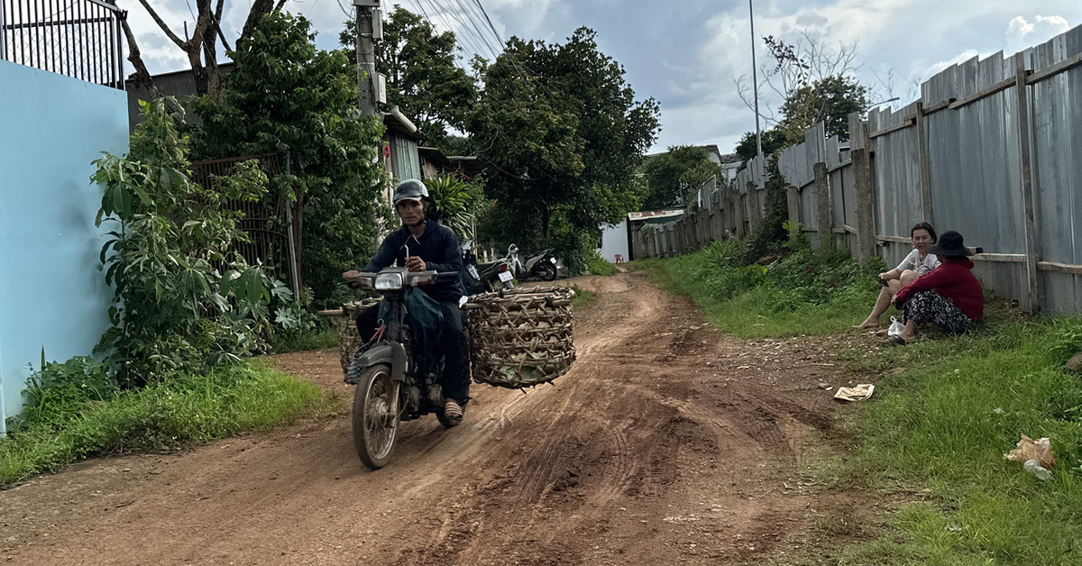 tuoitre.vn