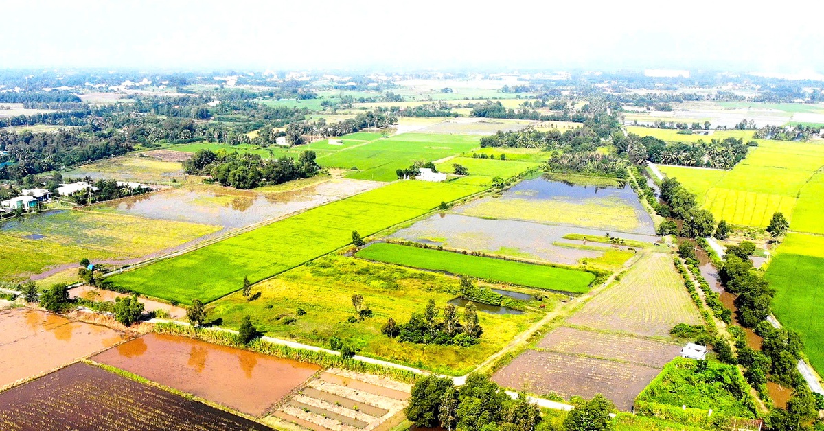 Giảm tải gánh nặng tiền sử dụng đất: Những giải pháp thayлин…