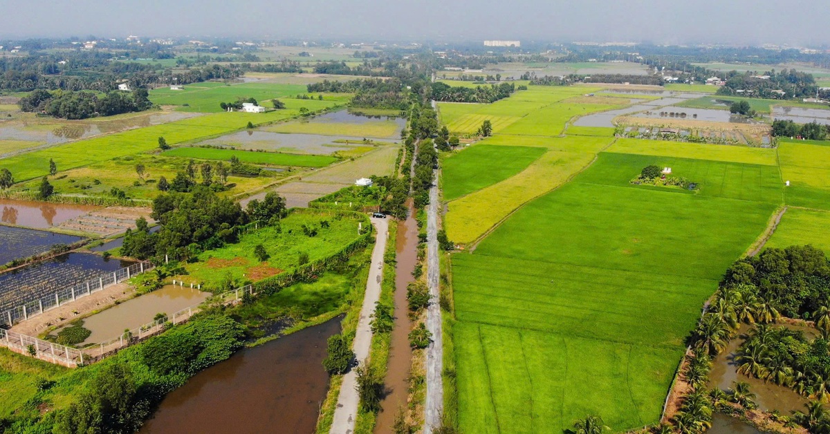 Giá đất nông nghiệp tại Thành phố Hồ Chí Minh cao nhất 810.000 đồng/m².