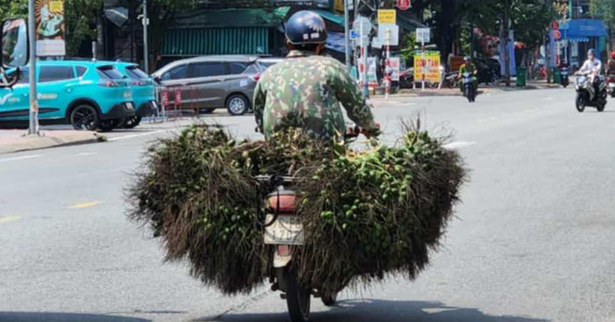 tuoitre.vn