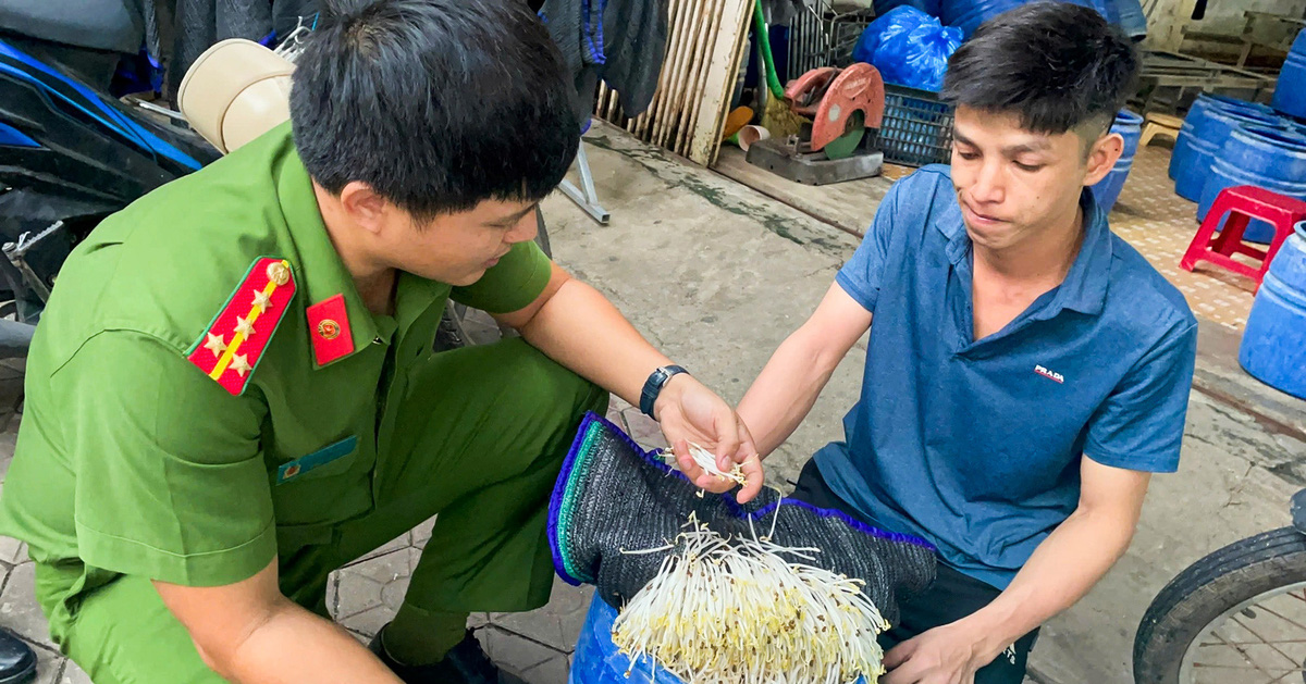 tuoitre.vn