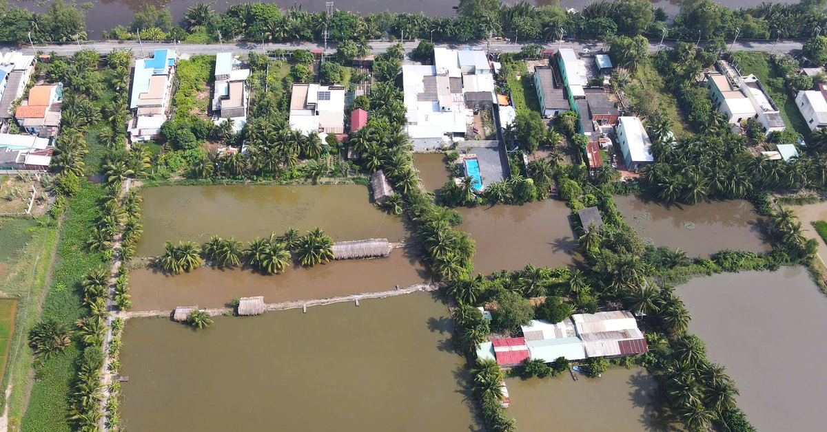 Sửa sự kiết canh tác đất nông nghiệp tại Thành phố Hồ Chí Minh