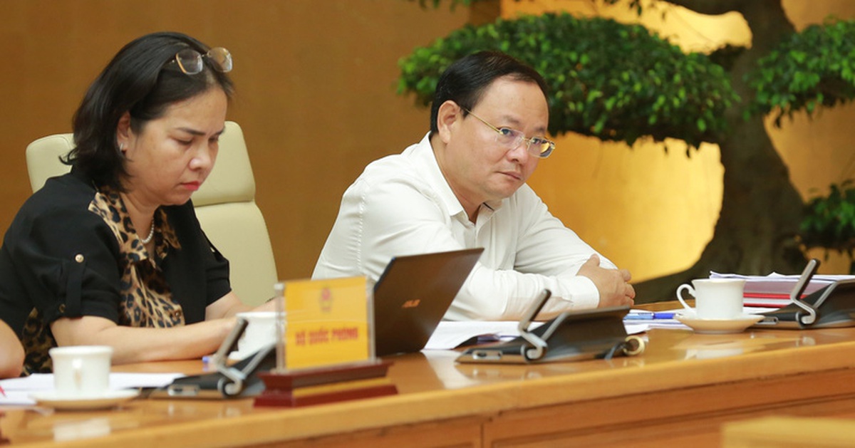 Mười năm phạt tù vì bỏ cọc đấu giá đất để trục lợi!