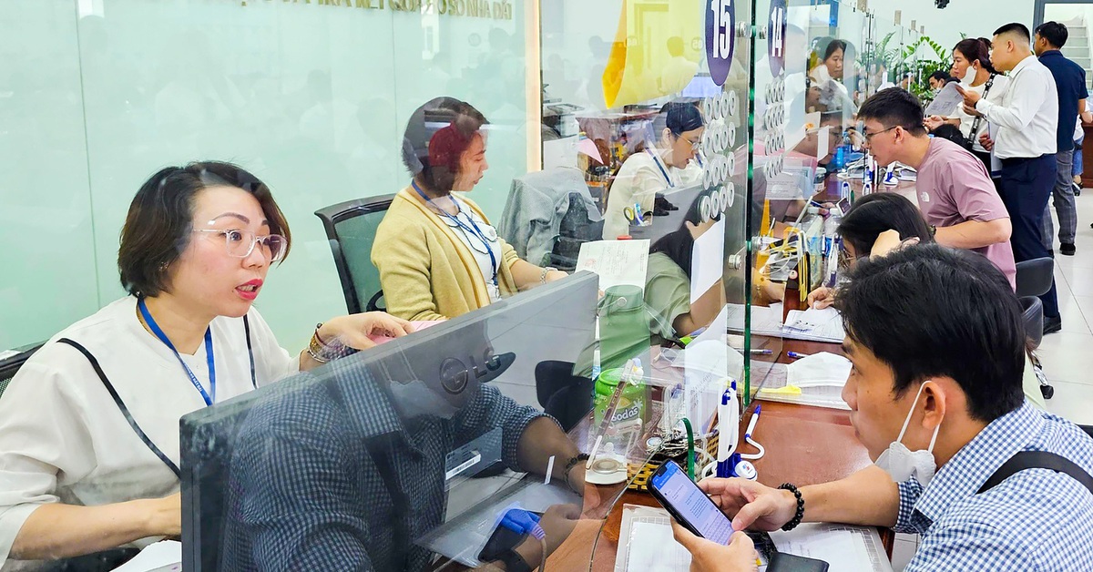 Thanh phố Hồ Chí Minh công nhận 4 hạn mức đất ở được sử dụng trước ngày 15 tháng 10 năm 1993.