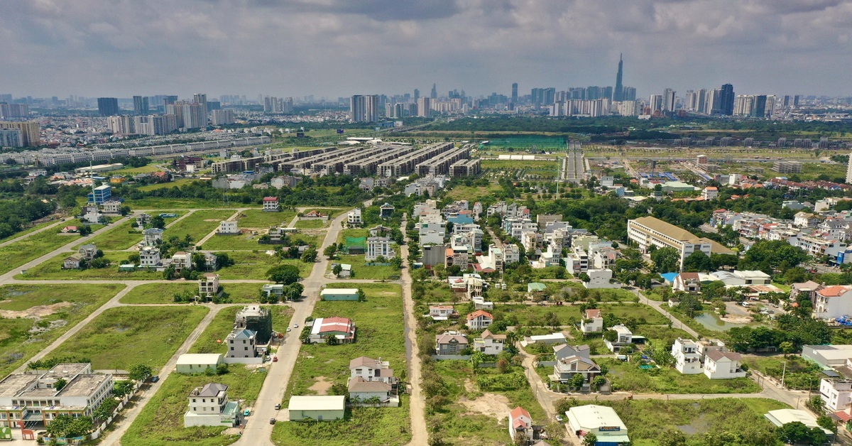 Mở Mở Rừng Xương Tấn Giấc Để Tạo Ra Dưới M Scarlett Manh Mún, Nhà Ổ Chuột