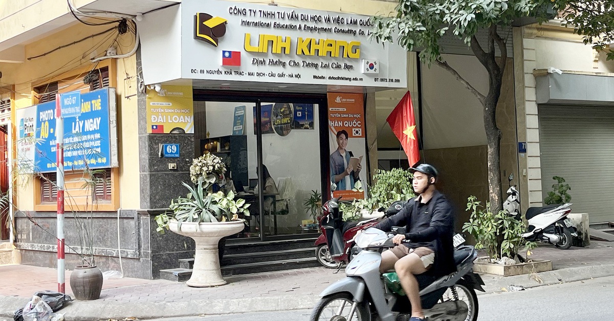 Để tránh bị lừa, người lao động cần làm gì?