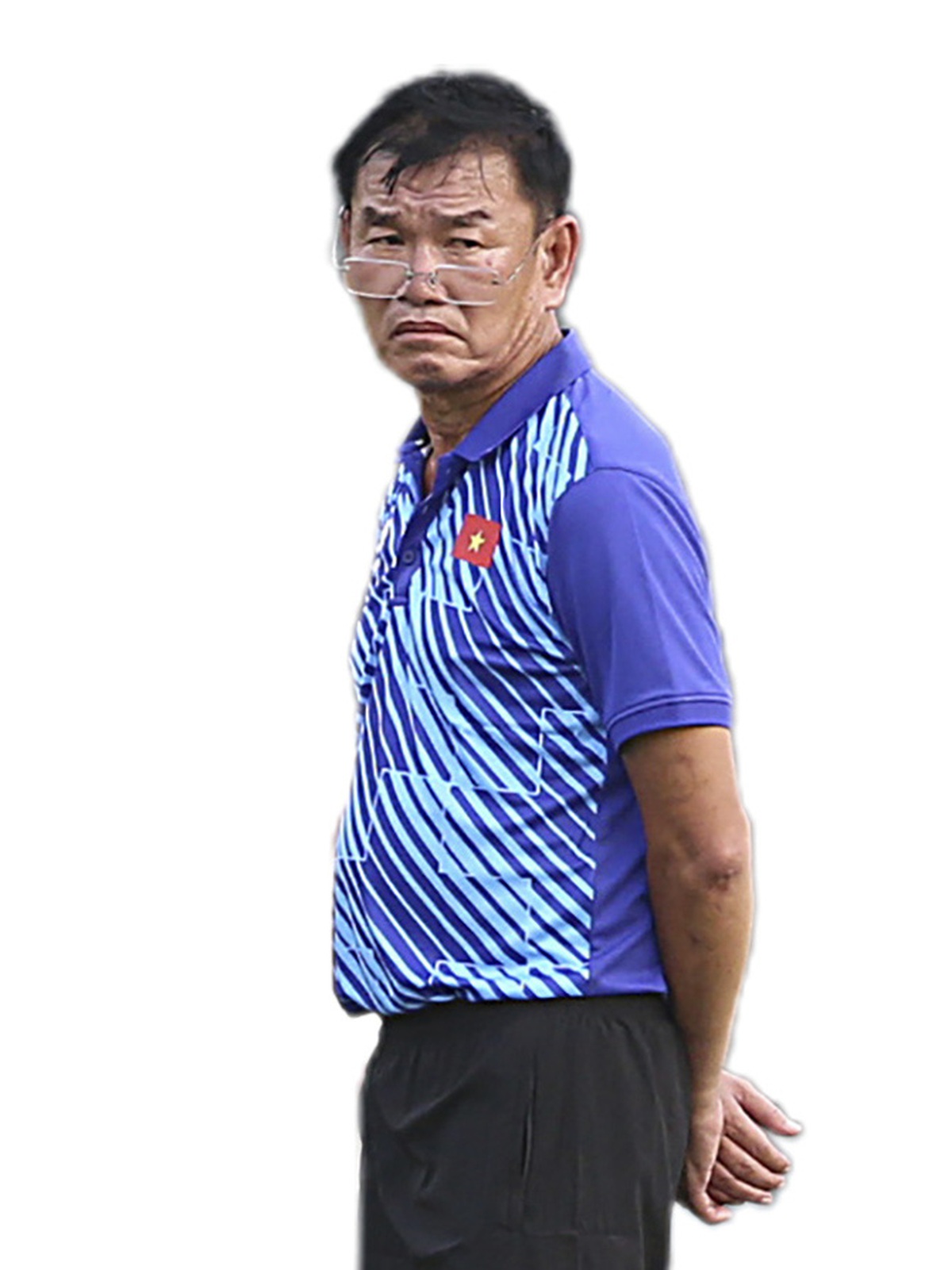 Xuân Son là sự bổ sung lý tưởng