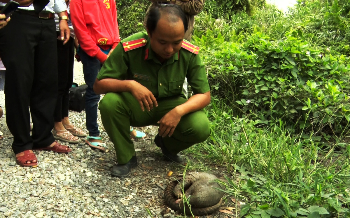 Cà Mau phát động chống mua bán động vật hoang dã trái phép