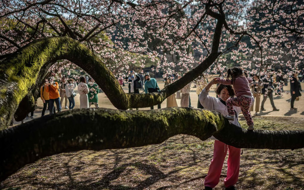 Tokyo tính áp dụng tuần làm việc 4 ngày để khuyến khích sinh con