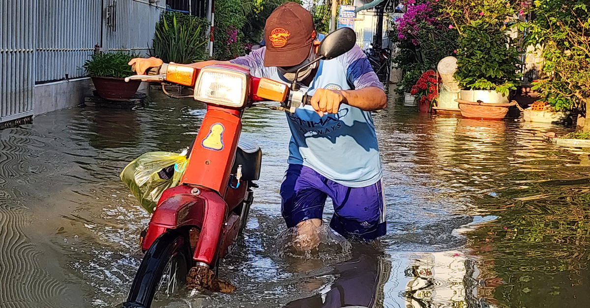 tuoitre.vn