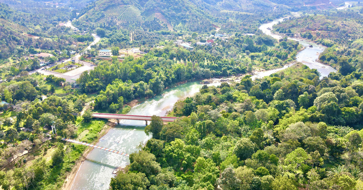 tuoitre.vn