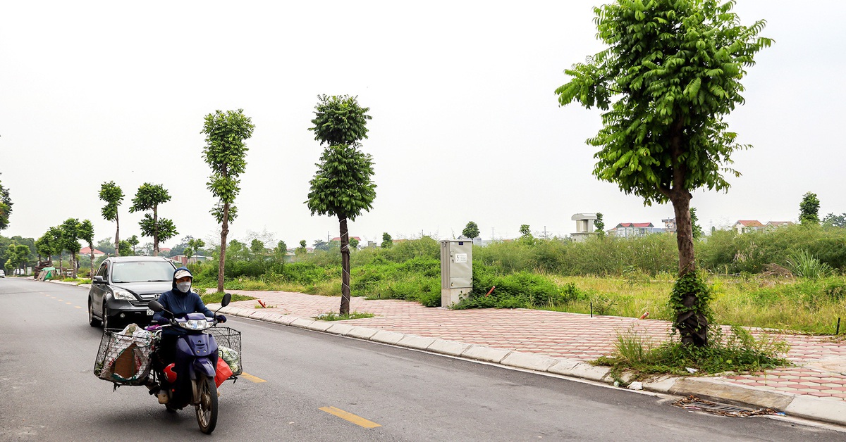 Thuốc trị đầu cơ: Ai cũng biết, thế giới đã phát triển nhiều năm

(Danh sách)