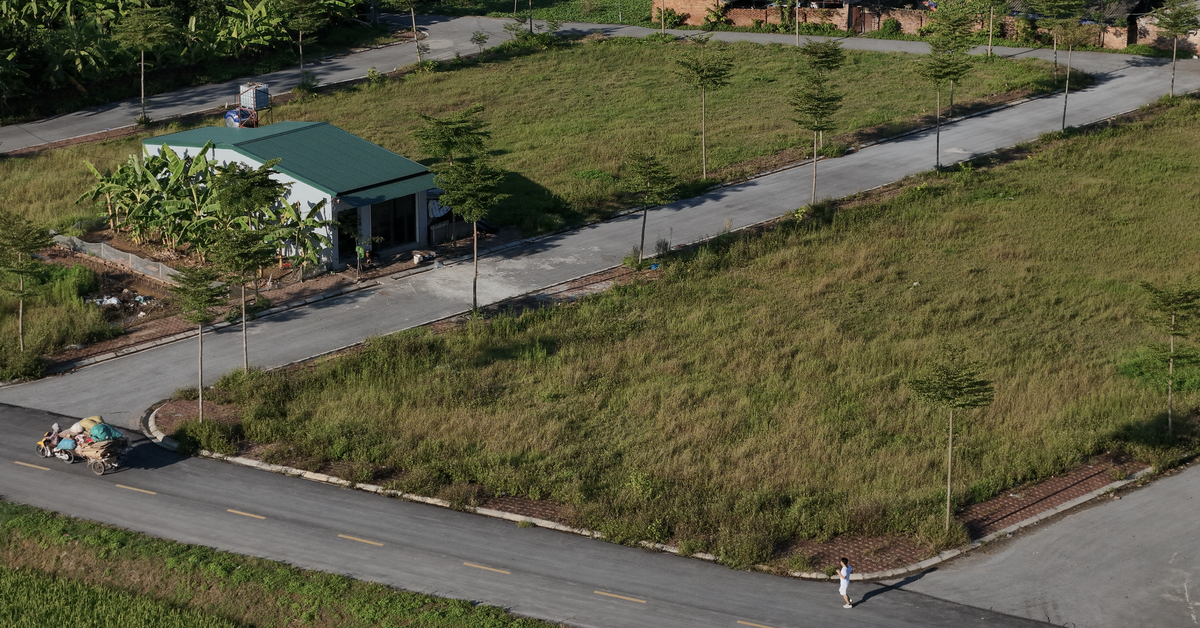 Ngôi nhà cấp 4 ẩn náu trong khu đất đấu giá