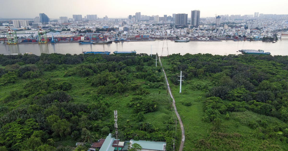 TP.HCM phát triển quy hoạch mới để trồng thêm cây xanh, xây dựng công viên sinh thái hiện đại.
