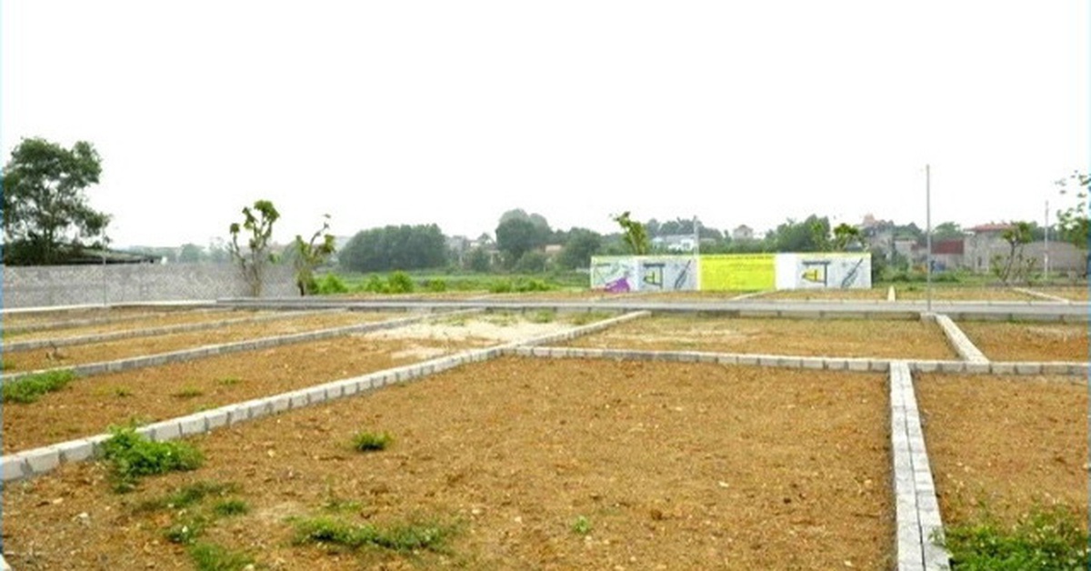 Hà Nội yêu cầu lấy ý kiến về điều kiện tách thửa, hợp thửa các loại đất differently.