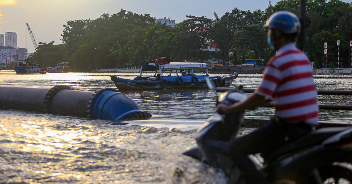 tuoitre.vn