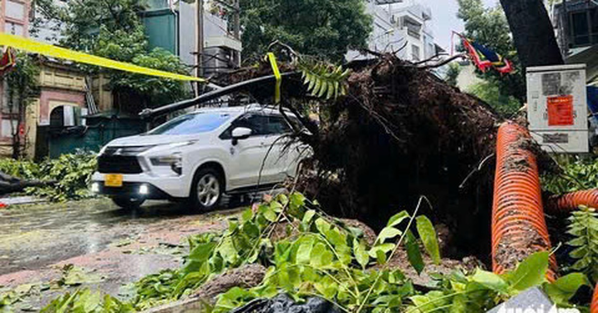 Bộ Tài chính yêu cầu chi ngân sách hỗ trợ ngay cho người dân bị thiệt hại do bão