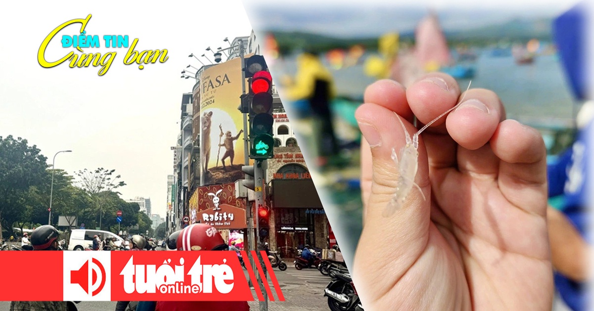 Điểm tin 8h: Mở rộng quản lý đèn giao thông bằng AI; Chong đèn thâu đêm săn tôm hùm giống