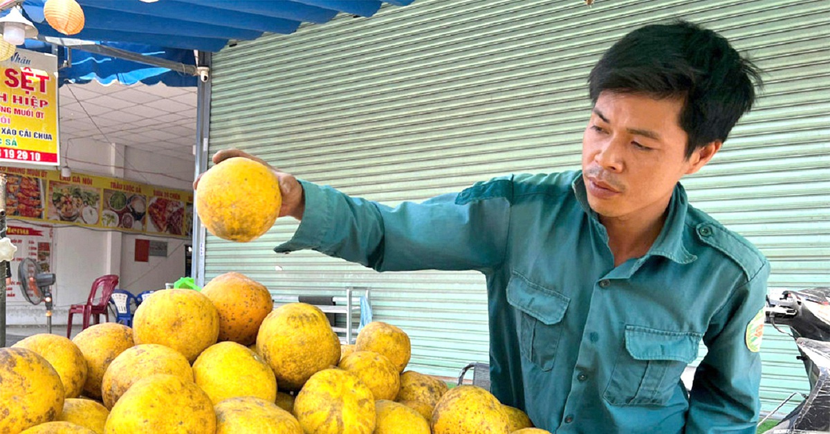 Cuối năm mong Tết ấm: Vừa tan ca lại tăng ca