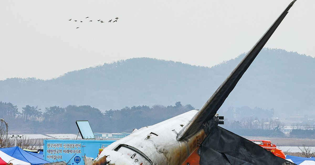 All airports in South Korea are required to have radars and cameras that can identify birds