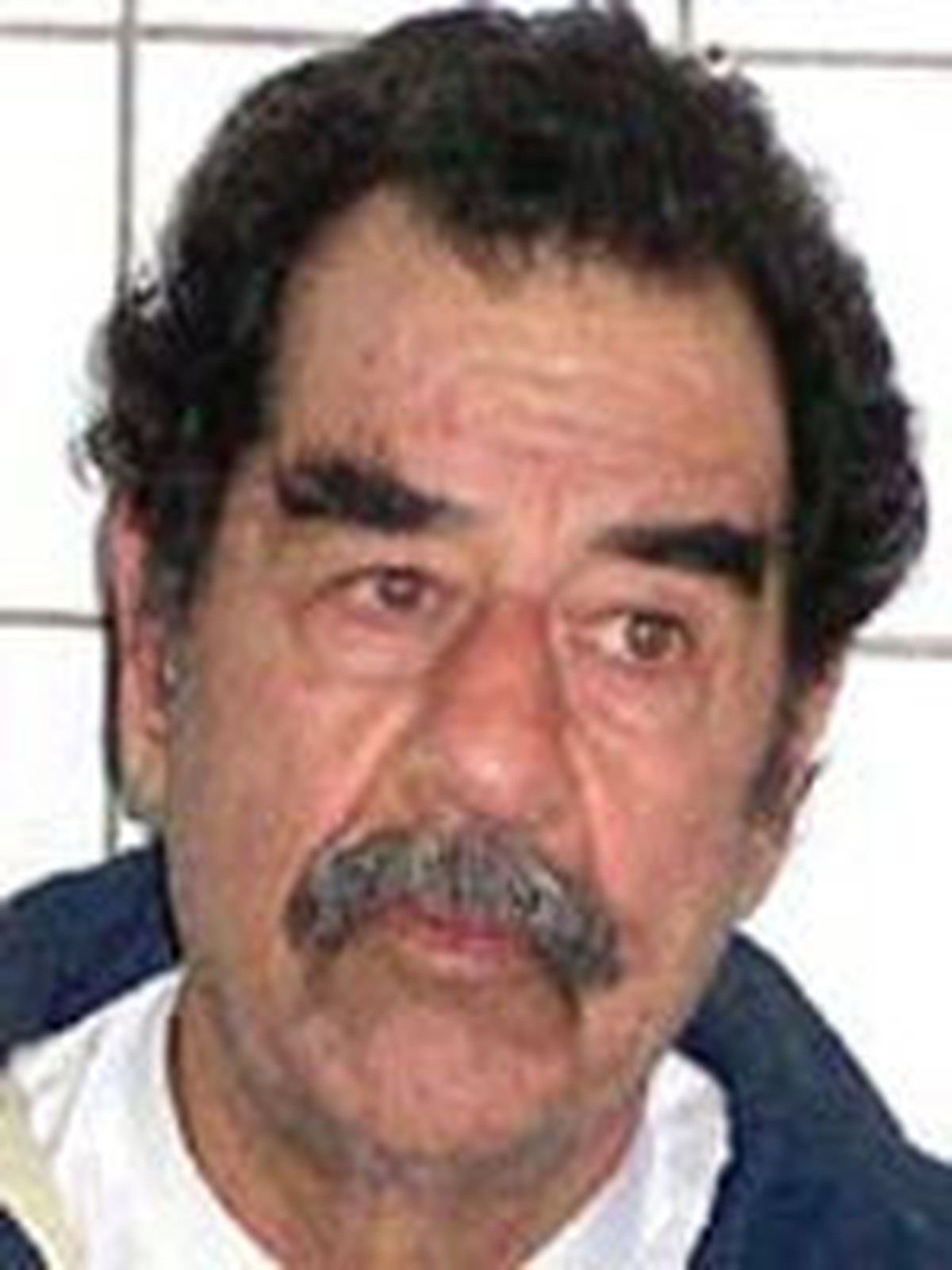Ai đã chỉ điểm để bắt giữ Saddam Hussein? - Tuổi Trẻ Online