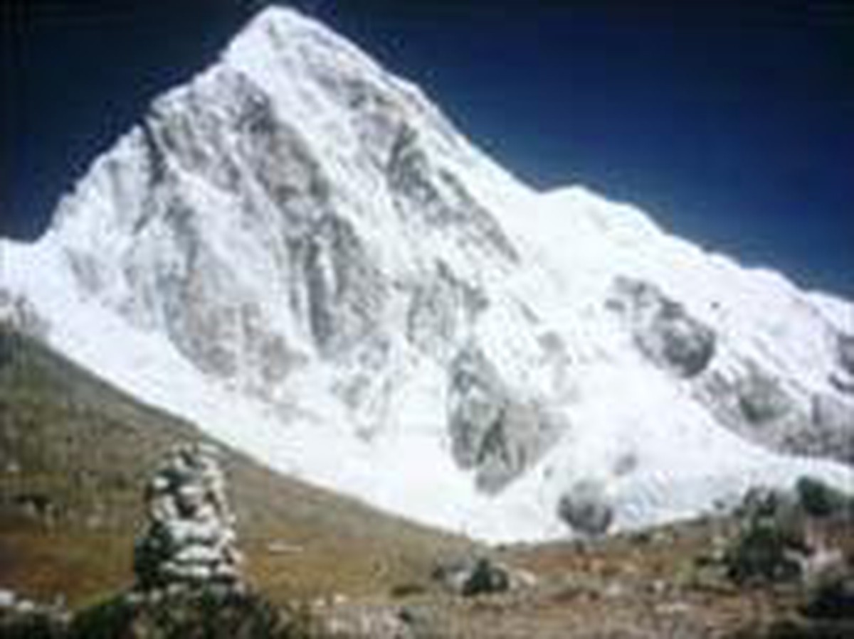 Chơi crikê trên 