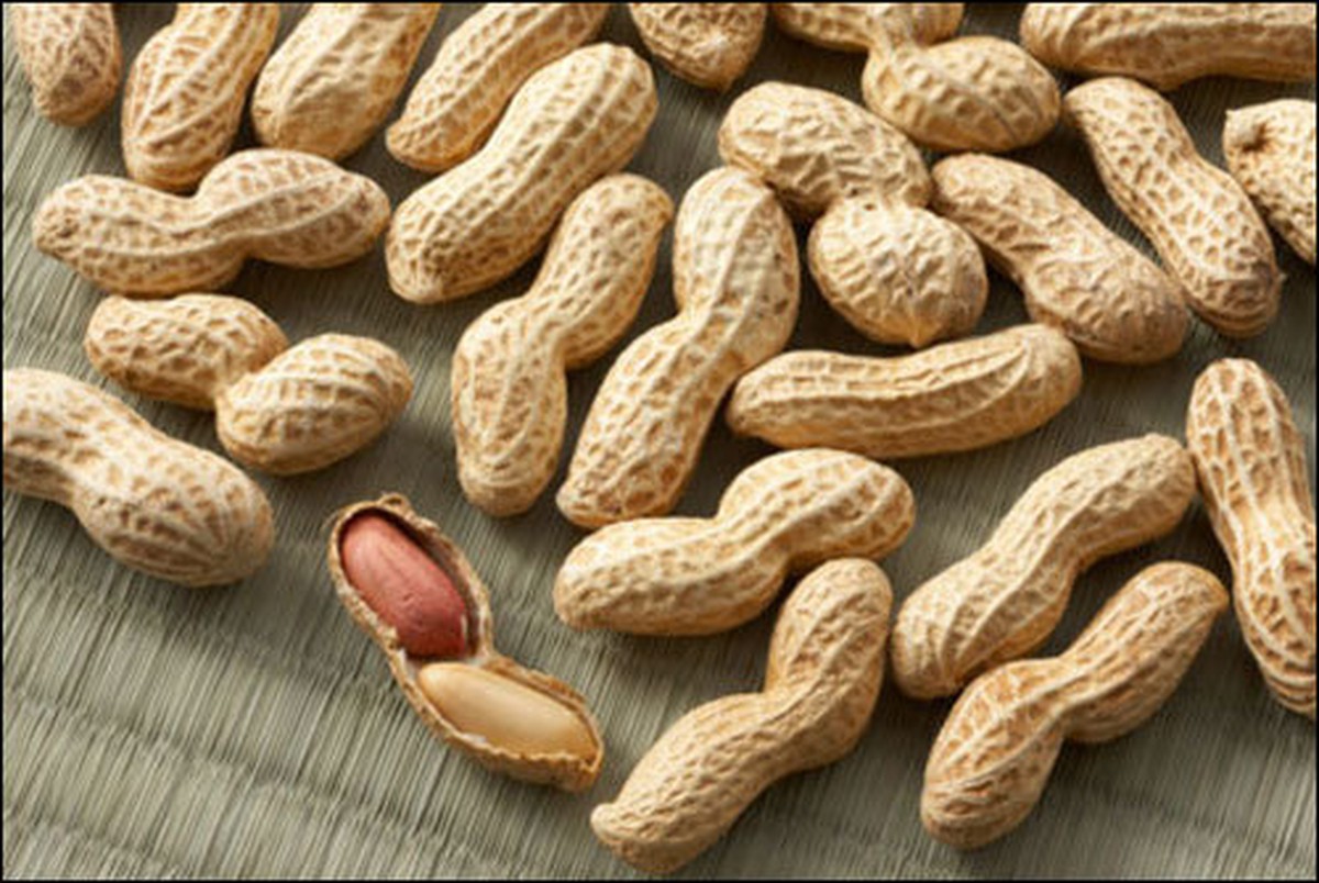 Можно ли кошкам арахис. Орешки кот. Можно коше. Можно ли кошкам арахис. Арахис.