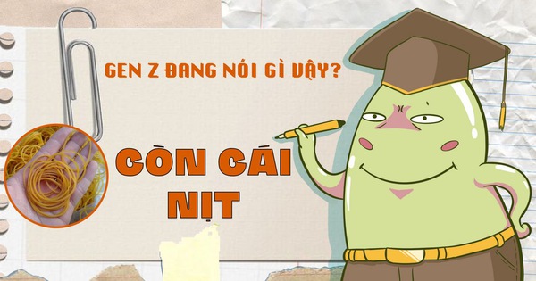 Còn Cái Nịt' Là Gì? - Tuổi Trẻ Online