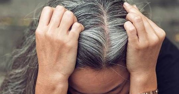 Thực hư các bài thuốc trị tóc bạc sớm theo y học cổ truyền