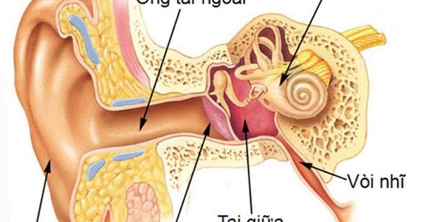 Tìm hiểu về những khác biệt giữa viêm tai ngoài và viêm tai giữa.