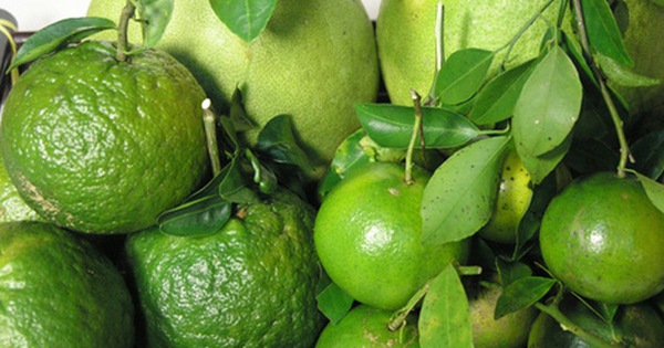 Trái cây xoài có chứa vitamin C không?