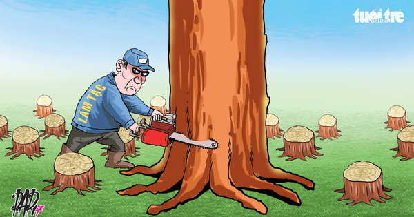 Những cánh rừng biến mất và những mạng người - Tuổi Trẻ Online