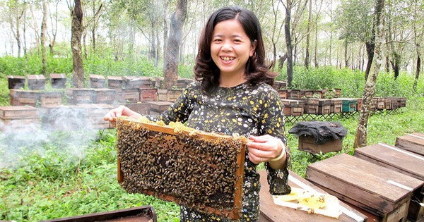 Mật ong Phố Núi là thương hiệu mật ong nổi tiếng từ vùng nào?
