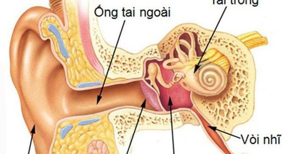 Có bao nhiêu loại hình ù tai mà châm cứu có thể điều trị?
