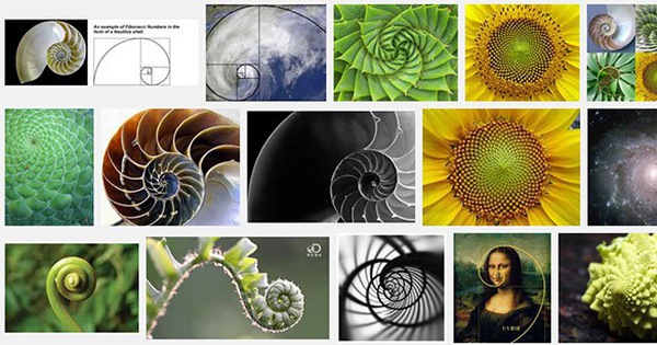 Tại sao dãy số Fibonacci được gọi là dãy vô hạn?
