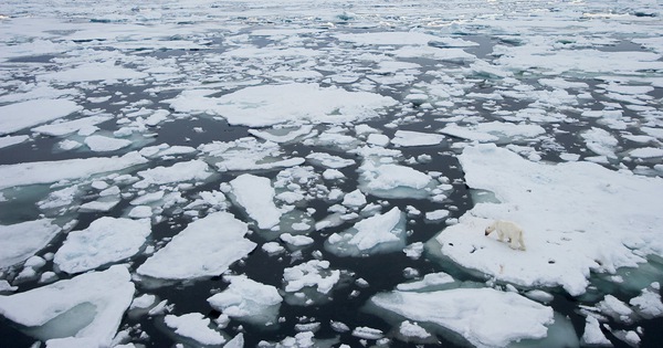 Tận mắt chứng kiến hiện tượng băng tan trên các vùng cực