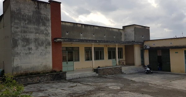 tuoitre.vn
