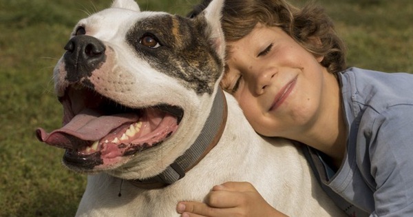 Có cách nào để xác định chó có bị nhiễm sán chó hay không?