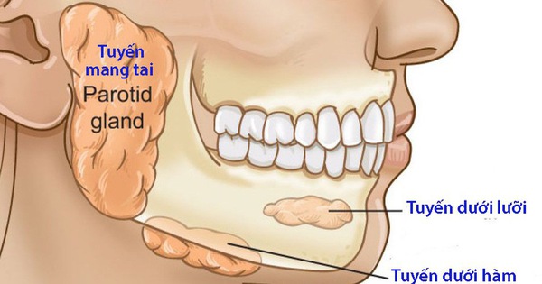 Viêm tuyến nước bọt - Tuổi Trẻ Online