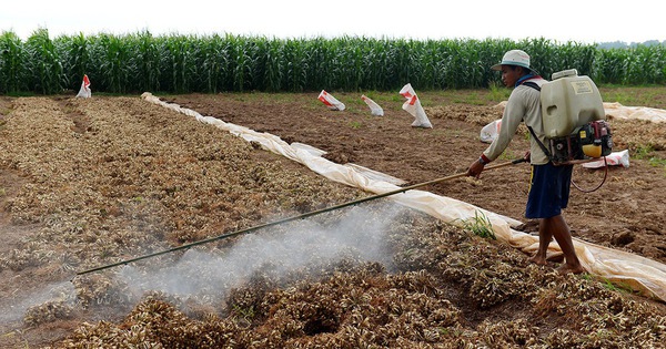 Thuốc diệt cỏ gây ung thư: 'Càng để lâu, càng có tội với dân'