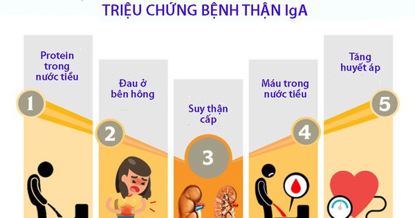 Nguyên nhân của bệnh thận IgA là gì?