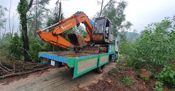 tuoitre.vn