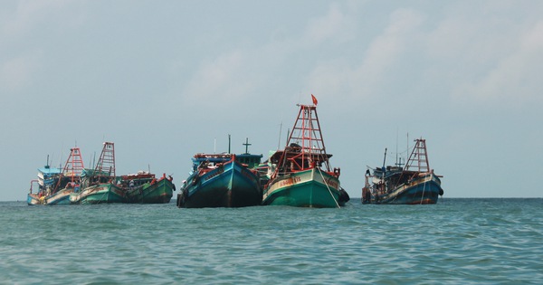 Trung Quốc cấm đánh bắt cá, Bộ Nông nghiệp đề nghị hỗ trợ ngư …