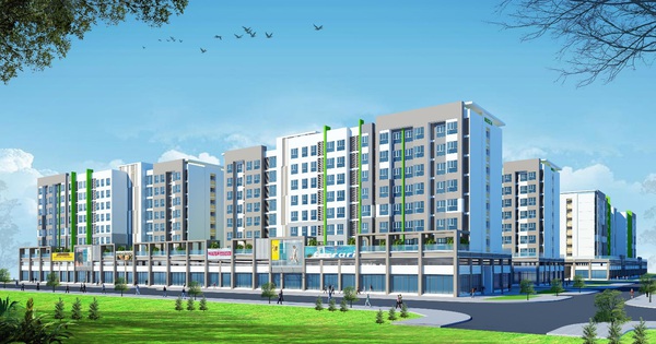 D2D triển khai nhiều dự án mới