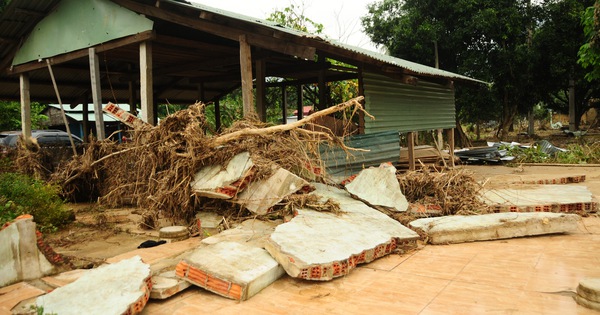 tuoitre.vn